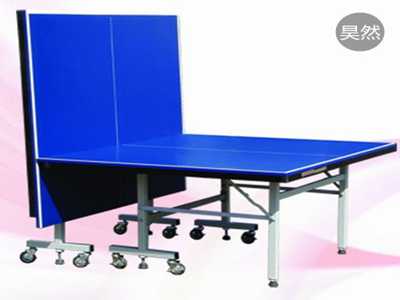 PP-004高档乒乓球台